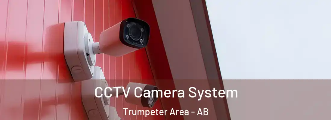 CCTV Camera System Trumpeter Area - AB