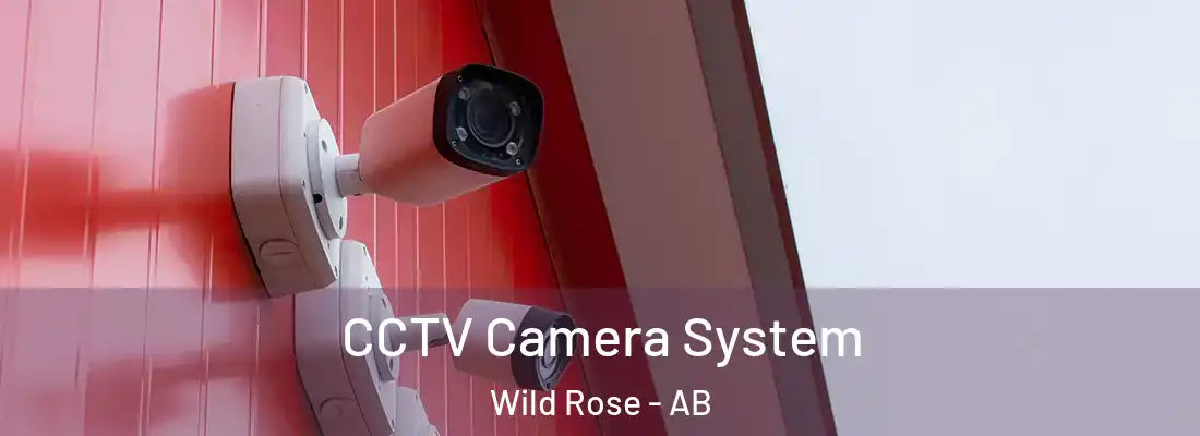  CCTV Camera System Wild Rose - AB