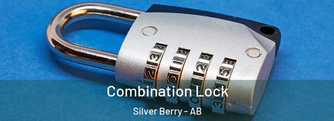 Combination Lock Silver Berry - AB