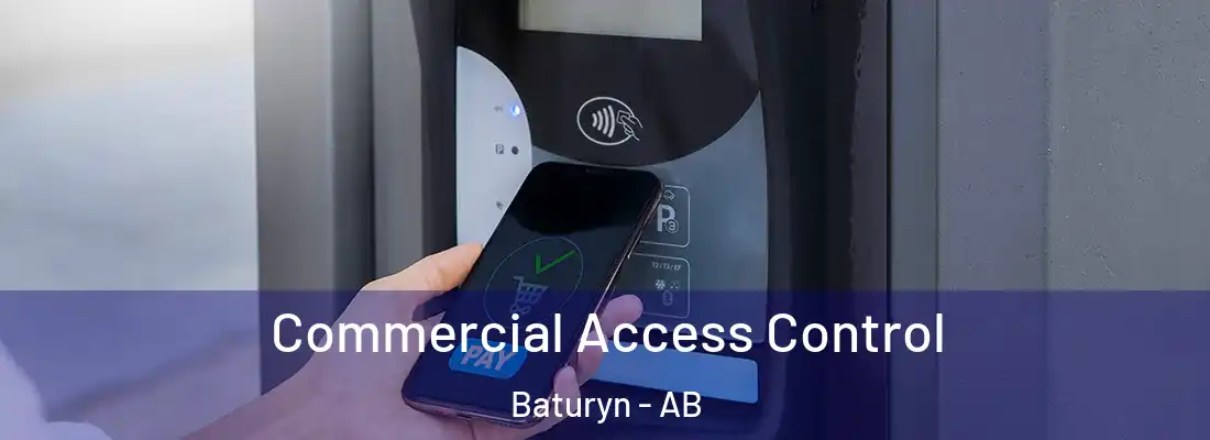  Commercial Access Control Baturyn - AB
