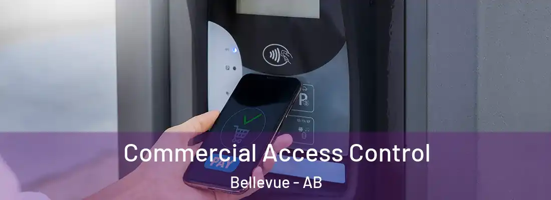  Commercial Access Control Bellevue - AB