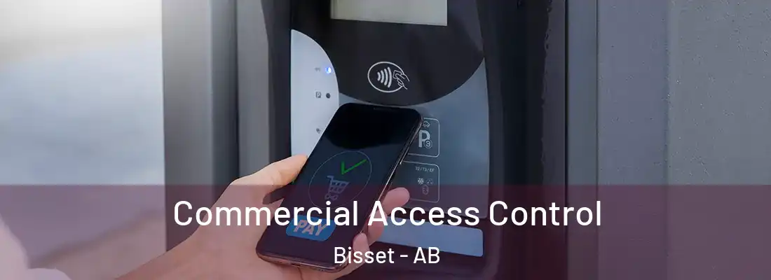  Commercial Access Control Bisset - AB