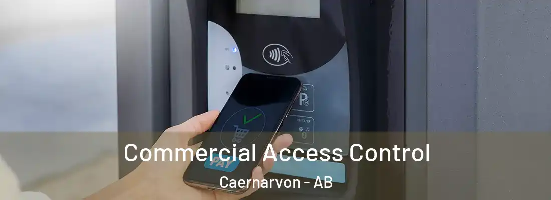  Commercial Access Control Caernarvon - AB