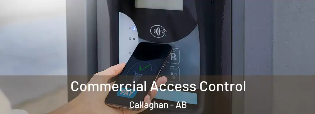  Commercial Access Control Callaghan - AB