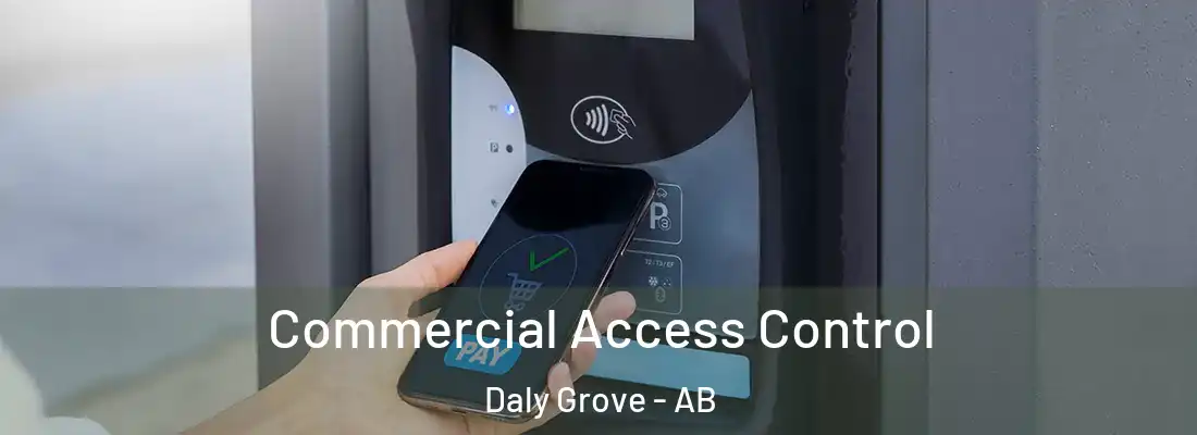  Commercial Access Control Daly Grove - AB