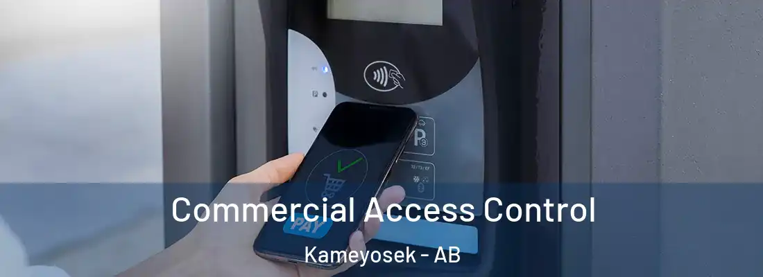  Commercial Access Control Kameyosek - AB