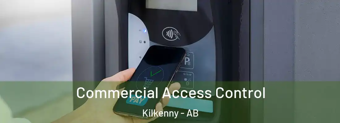  Commercial Access Control Kilkenny - AB