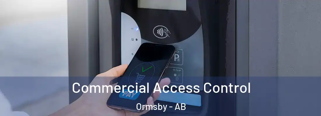  Commercial Access Control Ormsby - AB