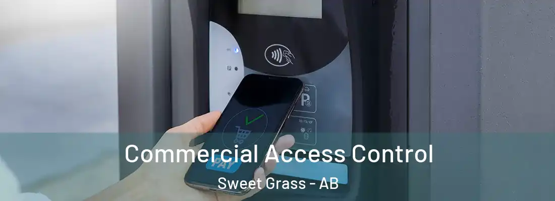  Commercial Access Control Sweet Grass - AB
