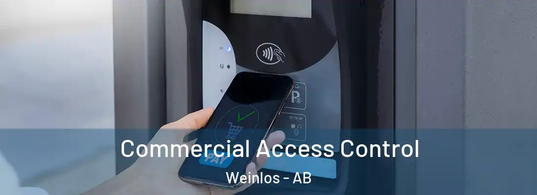  Commercial Access Control Weinlos - AB