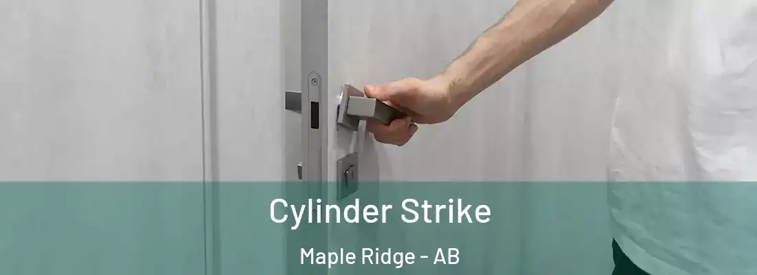  Cylinder Strike Maple Ridge - AB