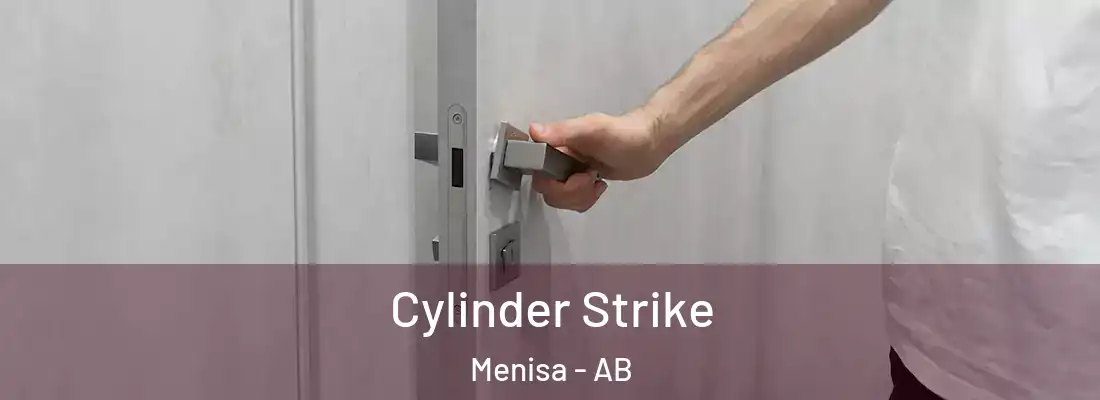  Cylinder Strike Menisa - AB