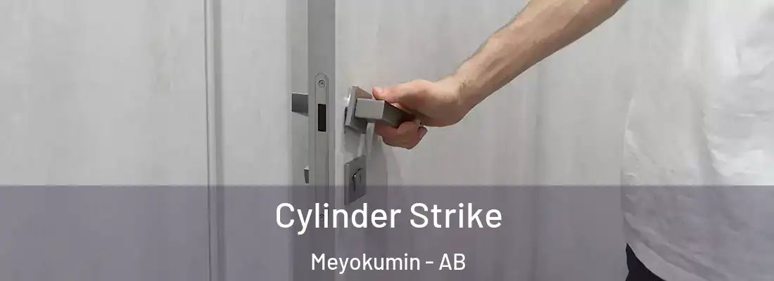  Cylinder Strike Meyokumin - AB