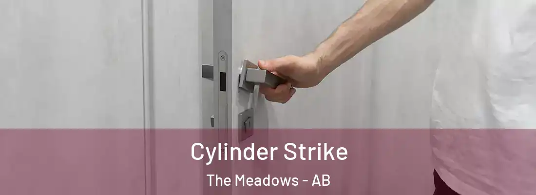  Cylinder Strike The Meadows - AB