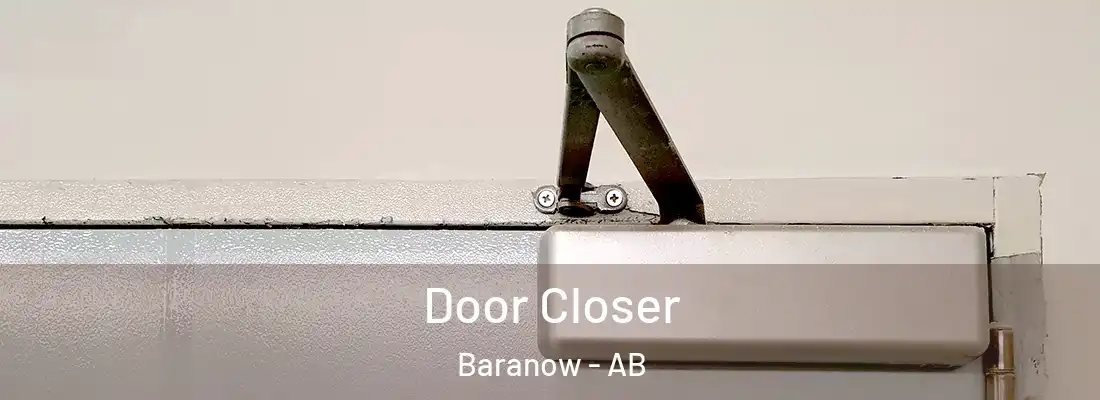  Door Closer Baranow - AB