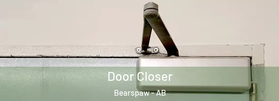 Door Closer Bearspaw - AB