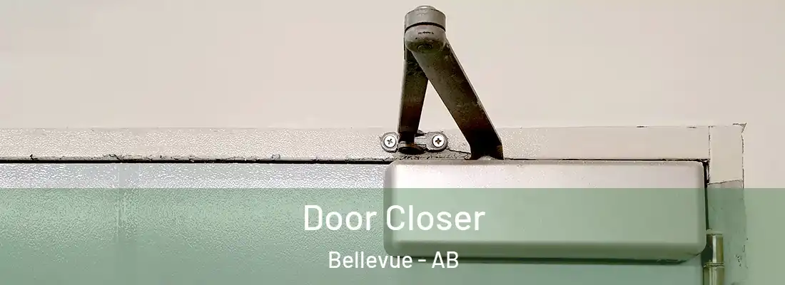  Door Closer Bellevue - AB
