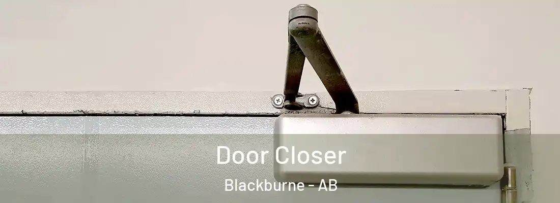  Door Closer Blackburne - AB