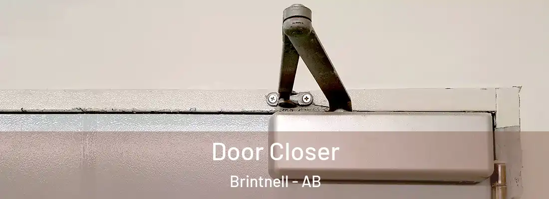  Door Closer Brintnell - AB