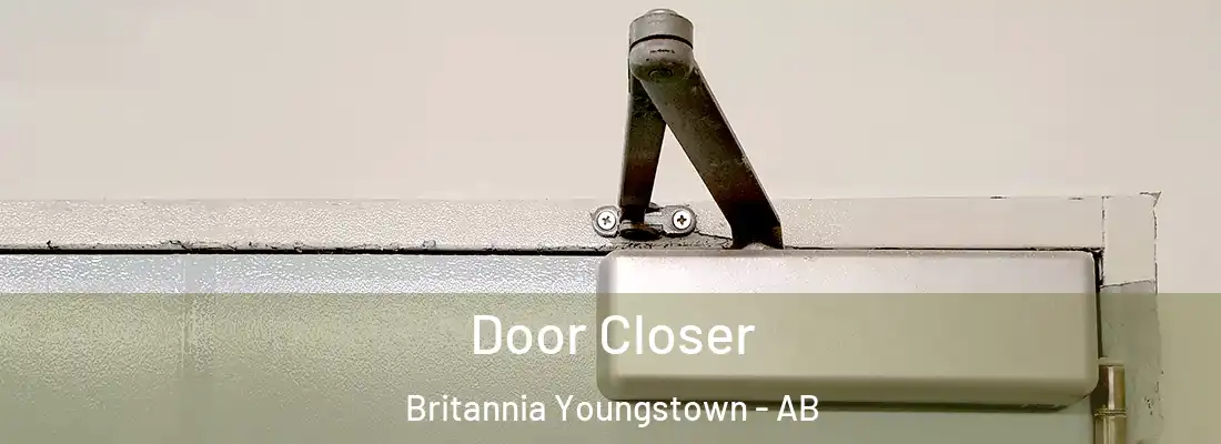  Door Closer Britannia Youngstown - AB