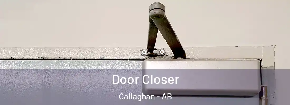  Door Closer Callaghan - AB