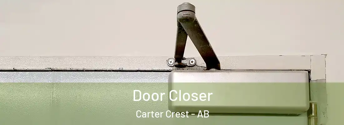  Door Closer Carter Crest - AB