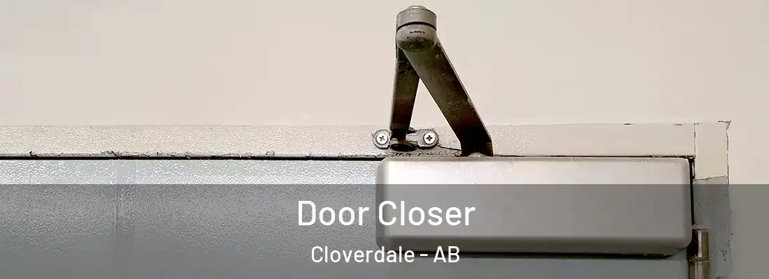  Door Closer Cloverdale - AB