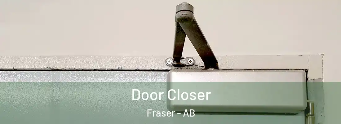  Door Closer Fraser - AB