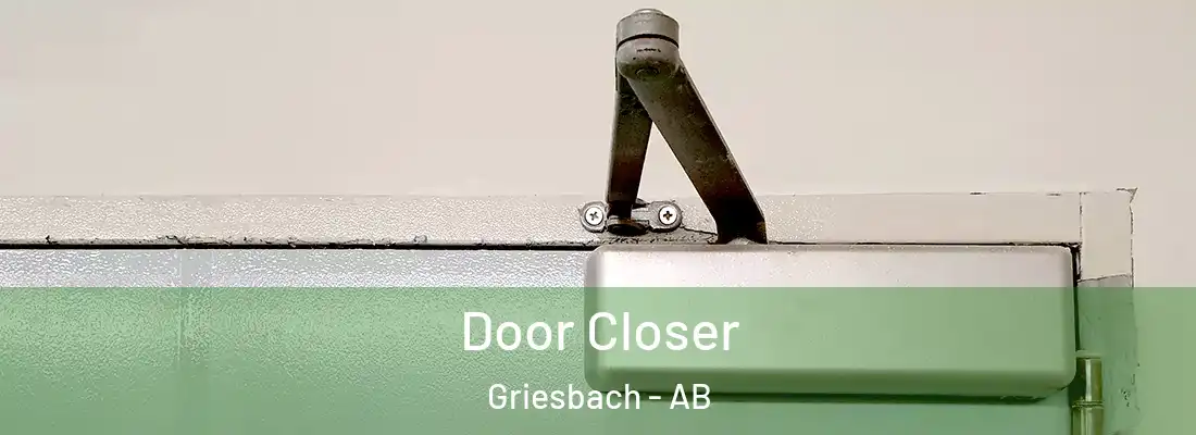  Door Closer Griesbach - AB