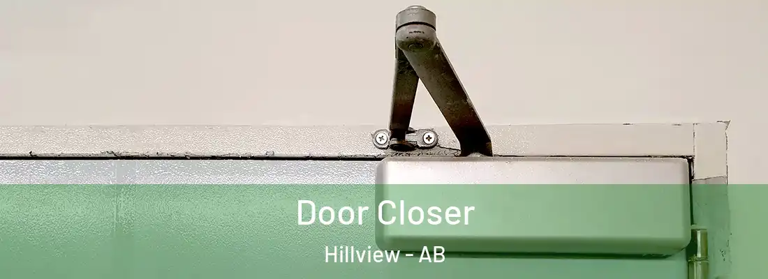  Door Closer Hillview - AB