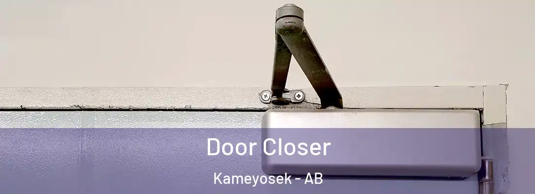 Door Closer Kameyosek - AB