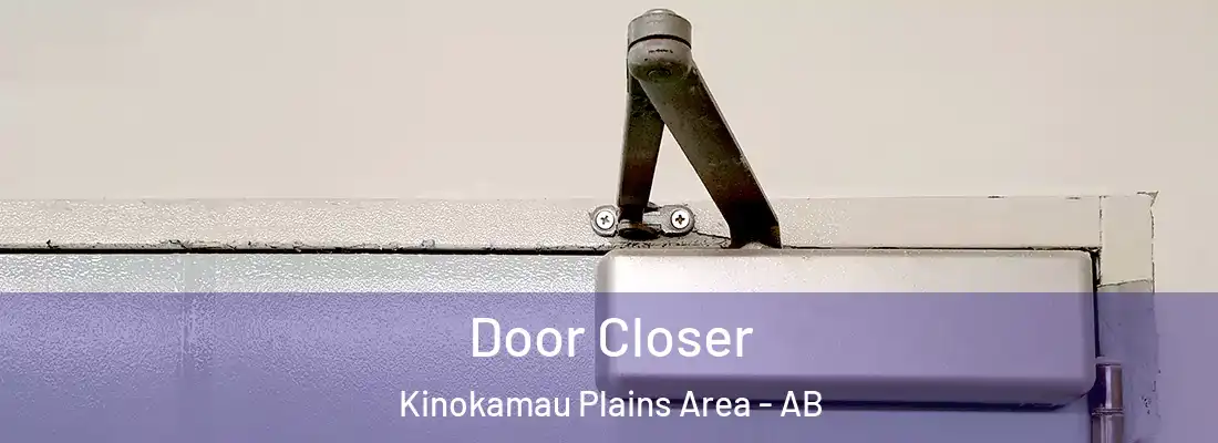  Door Closer Kinokamau Plains Area - AB