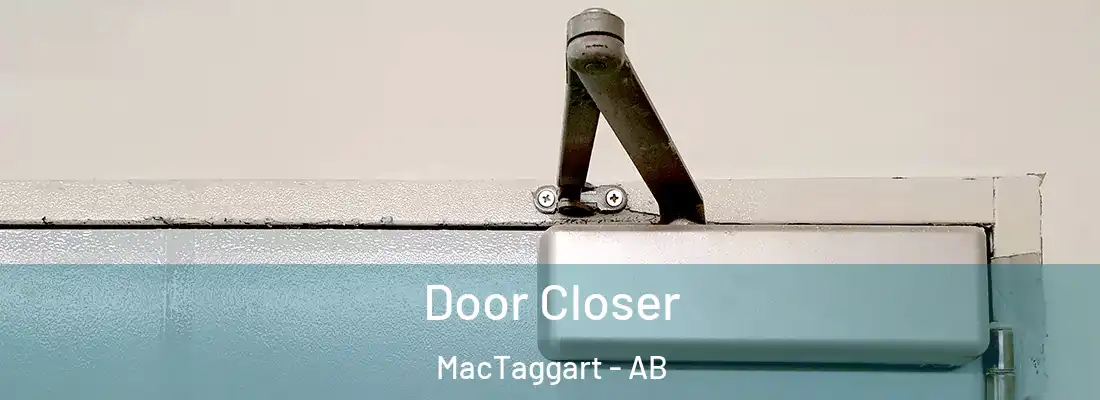  Door Closer MacTaggart - AB