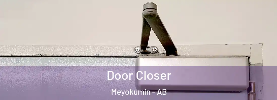  Door Closer Meyokumin - AB