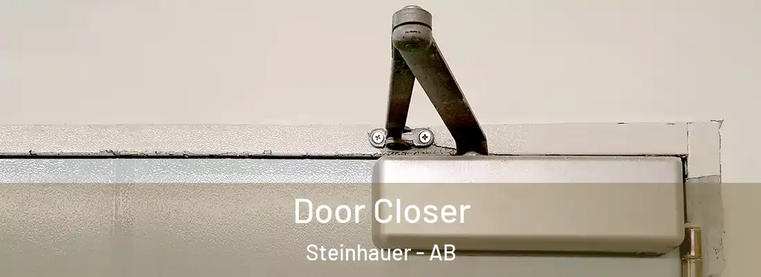  Door Closer Steinhauer - AB