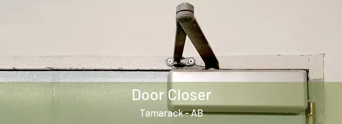  Door Closer Tamarack - AB