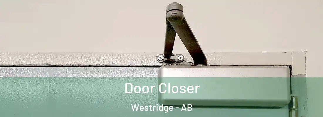  Door Closer Westridge - AB