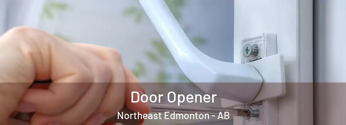  Door Opener Northeast Edmonton - AB