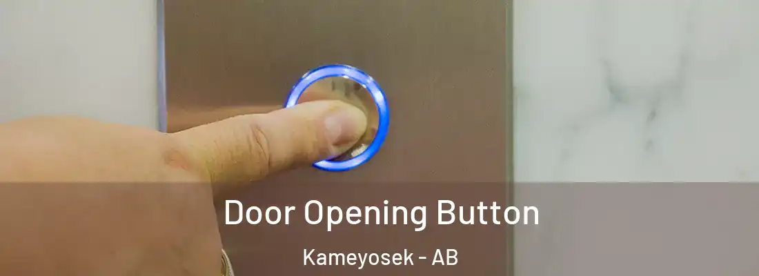  Door Opening Button Kameyosek - AB