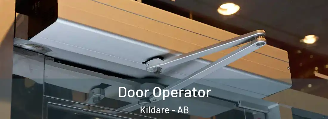  Door Operator Kildare - AB