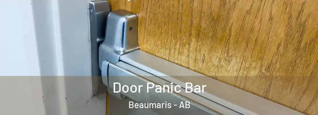  Door Panic Bar Beaumaris - AB