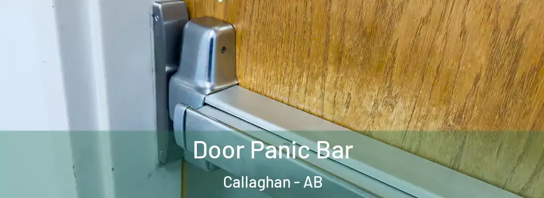  Door Panic Bar Callaghan - AB