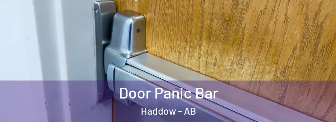  Door Panic Bar Haddow - AB