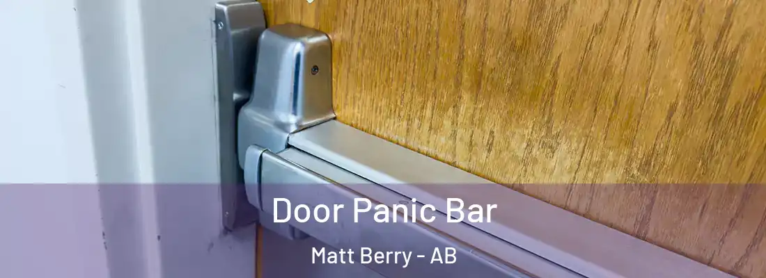 Door Panic Bar Matt Berry - AB
