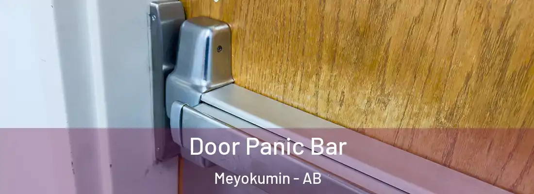  Door Panic Bar Meyokumin - AB