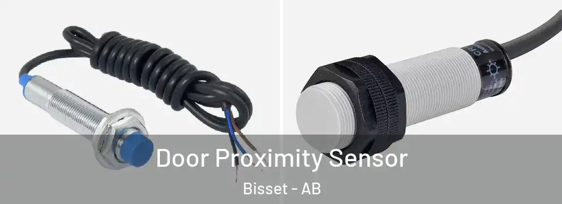  Door Proximity Sensor Bisset - AB