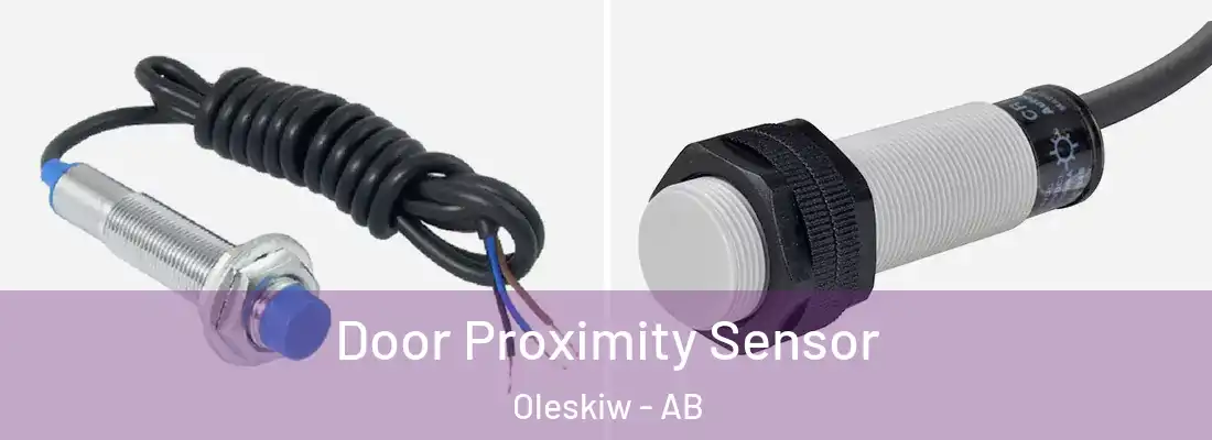  Door Proximity Sensor Oleskiw - AB