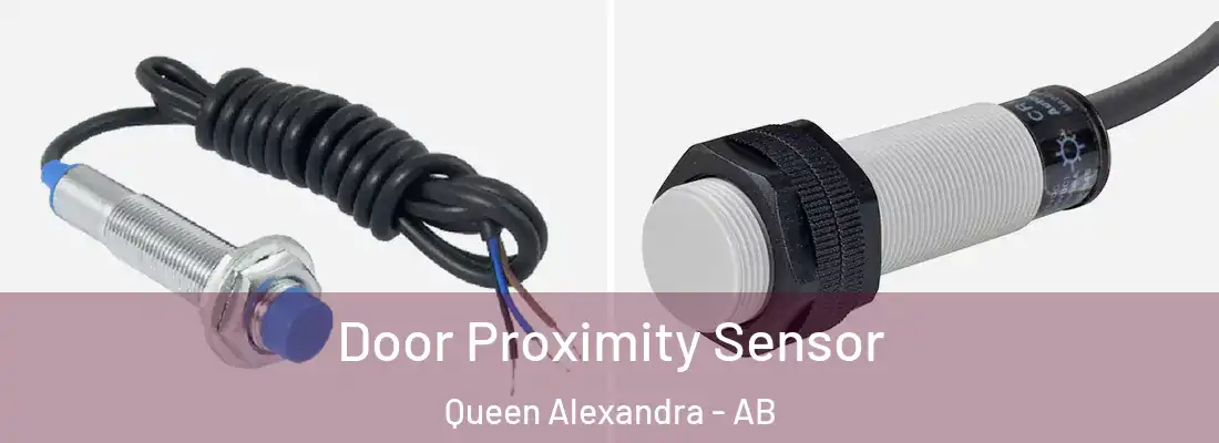  Door Proximity Sensor Queen Alexandra - AB