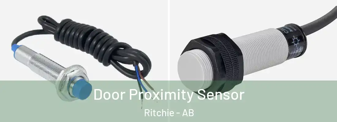 Door Proximity Sensor Ritchie - AB