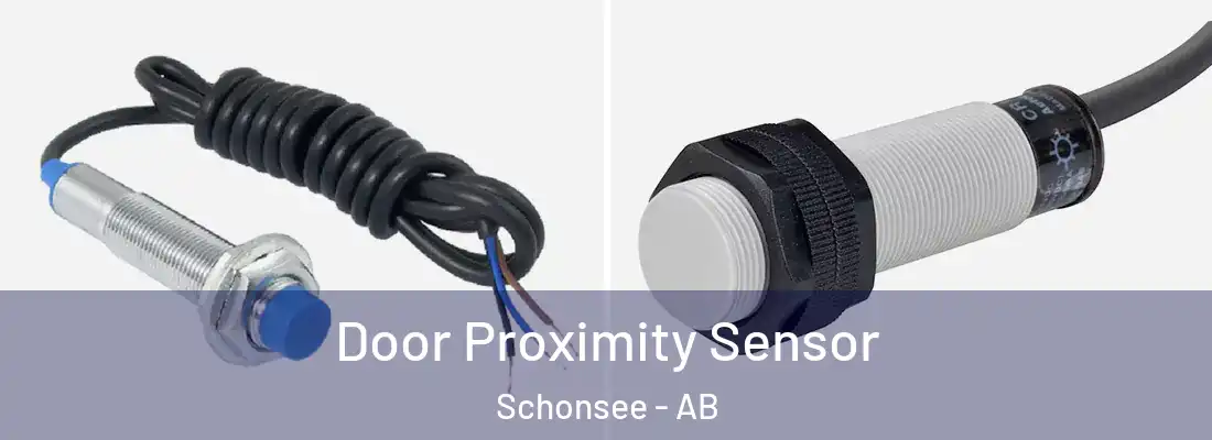  Door Proximity Sensor Schonsee - AB